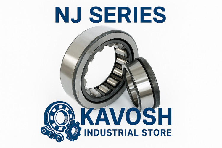 بلبرینگ استوانهای NJ305 | برند SKF