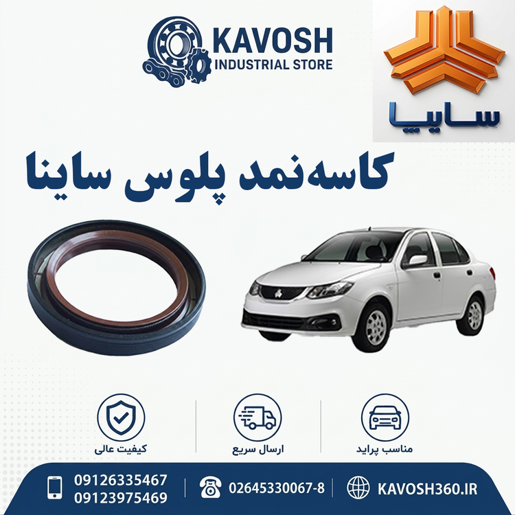 کاسهنمد پلوس ساینا